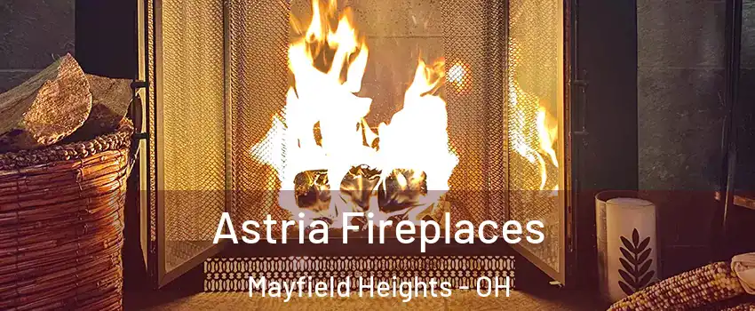  Astria Fireplaces Mayfield Heights - OH