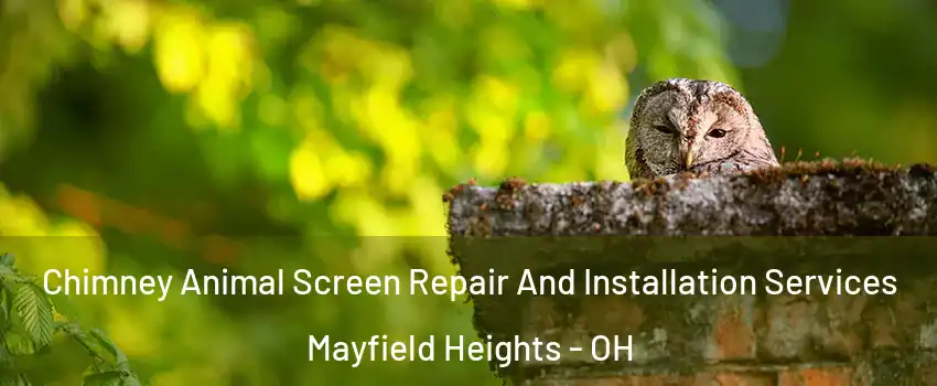  Chimney Animal Screen Repair And Installation Services Mayfield Heights - OH