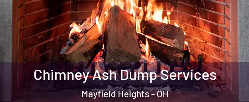  Chimney Ash Dump Services Mayfield Heights - OH
