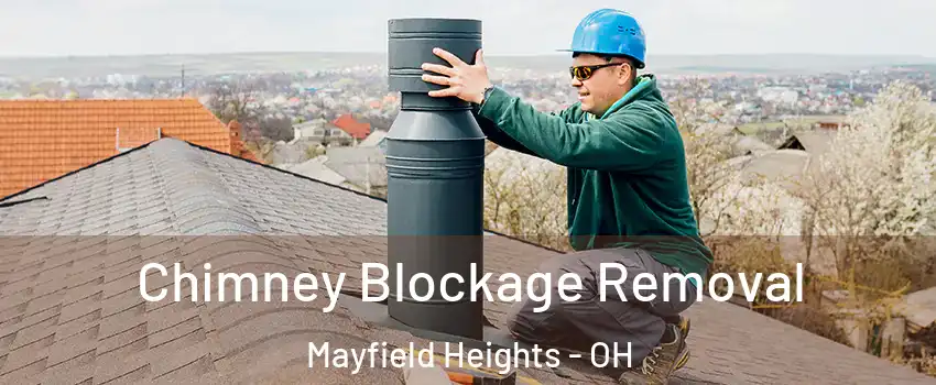  Chimney Blockage Removal Mayfield Heights - OH