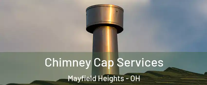  Chimney Cap Services Mayfield Heights - OH