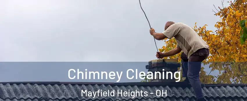  Chimney Cleaning Mayfield Heights - OH