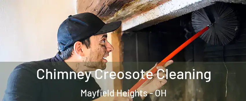  Chimney Creosote Cleaning Mayfield Heights - OH