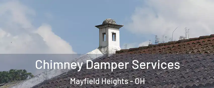  Chimney Damper Services Mayfield Heights - OH