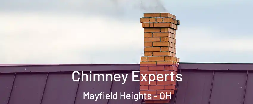  Chimney Experts Mayfield Heights - OH