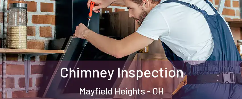  Chimney Inspection Mayfield Heights - OH