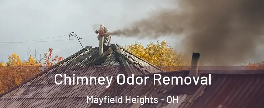  Chimney Odor Removal Mayfield Heights - OH