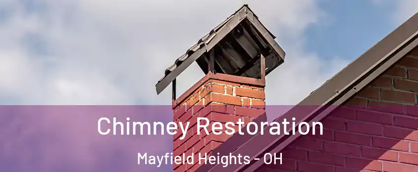  Chimney Restoration Mayfield Heights - OH