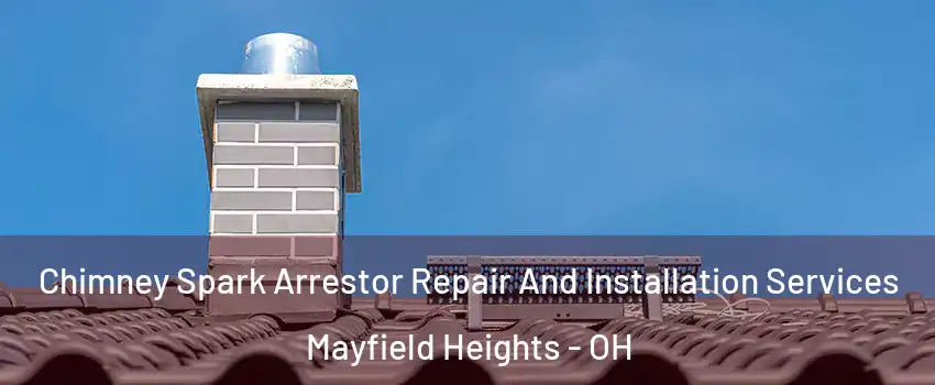  Chimney Spark Arrestor Repair And Installation Services Mayfield Heights - OH