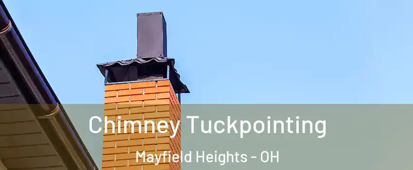  Chimney Tuckpointing Mayfield Heights - OH