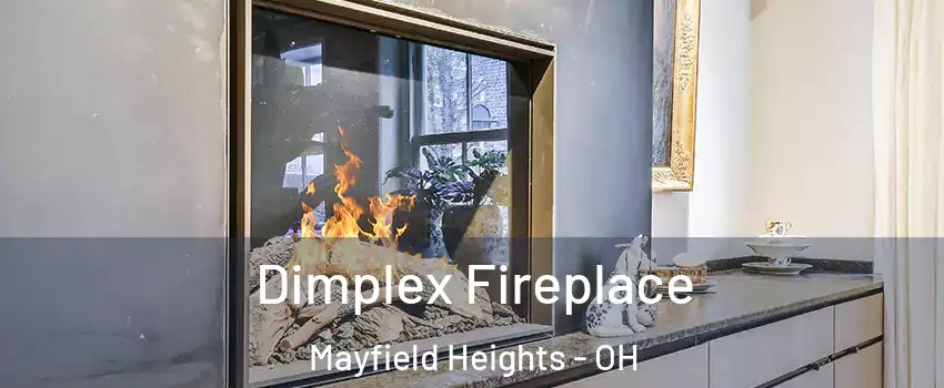  Dimplex Fireplace Mayfield Heights - OH