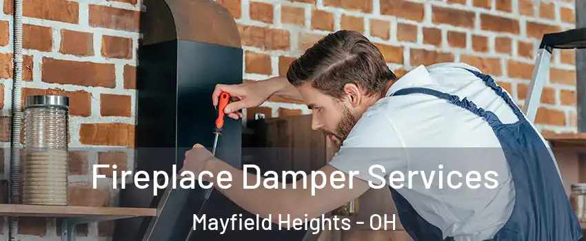  Fireplace Damper Services Mayfield Heights - OH