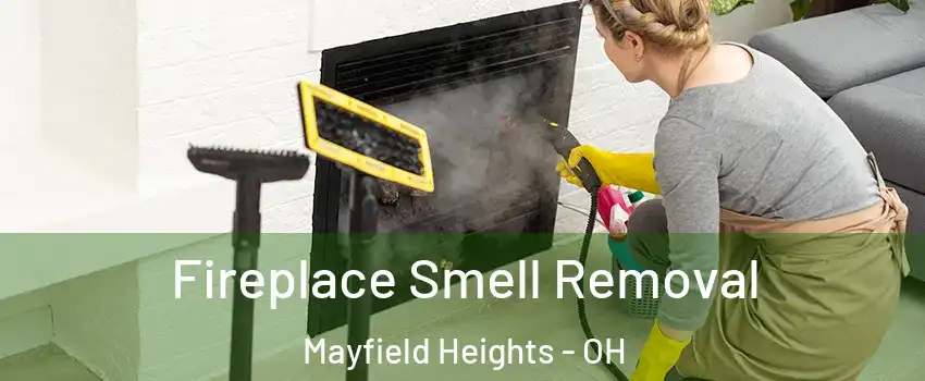 Fireplace Smell Removal Mayfield Heights - OH