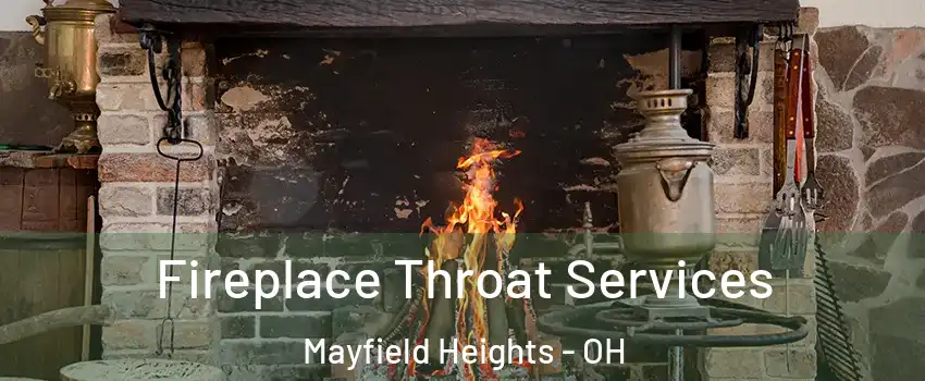  Fireplace Throat Services Mayfield Heights - OH