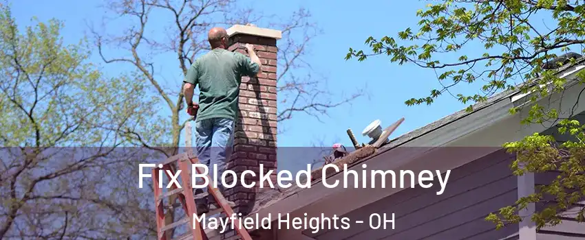  Fix Blocked Chimney Mayfield Heights - OH