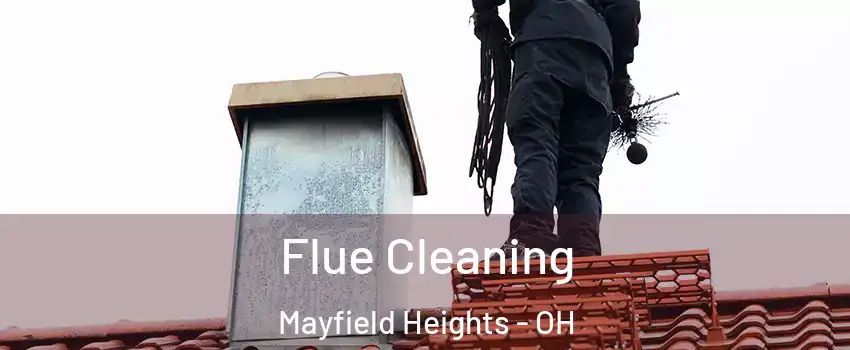  Flue Cleaning Mayfield Heights - OH