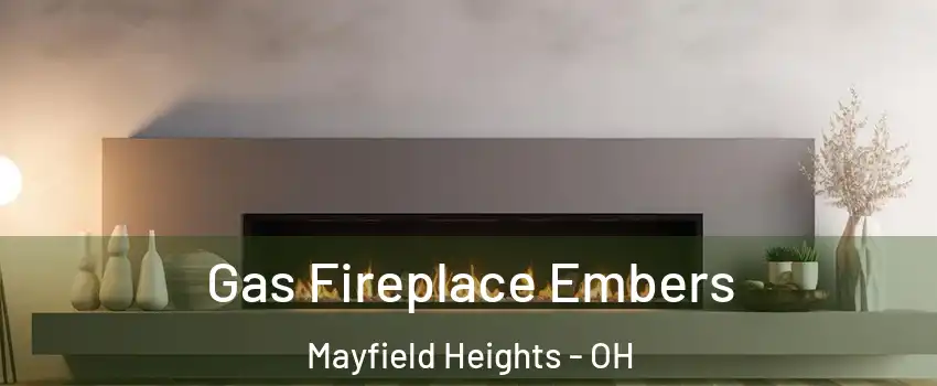  Gas Fireplace Embers Mayfield Heights - OH
