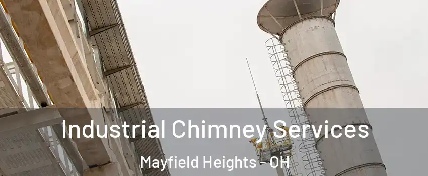  Industrial Chimney Services Mayfield Heights - OH