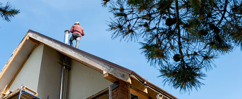 Birds Removal Contractors from Chimney in Mayfield Heights, OH