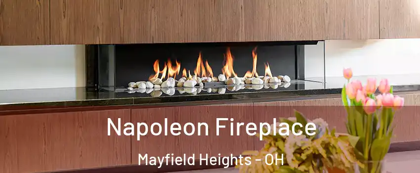  Napoleon Fireplace Mayfield Heights - OH