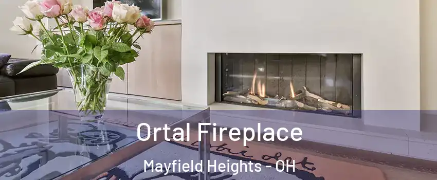  Ortal Fireplace Mayfield Heights - OH