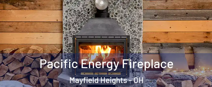  Pacific Energy Fireplace Mayfield Heights - OH
