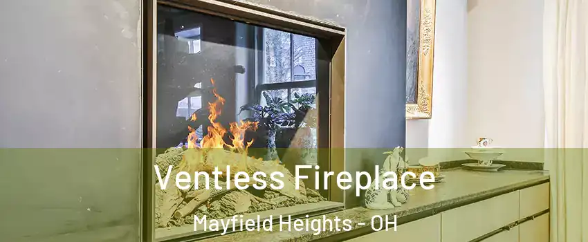  Ventless Fireplace Mayfield Heights - OH
